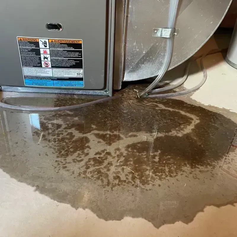 Appliance Leak Cleanup in Grandview, MO